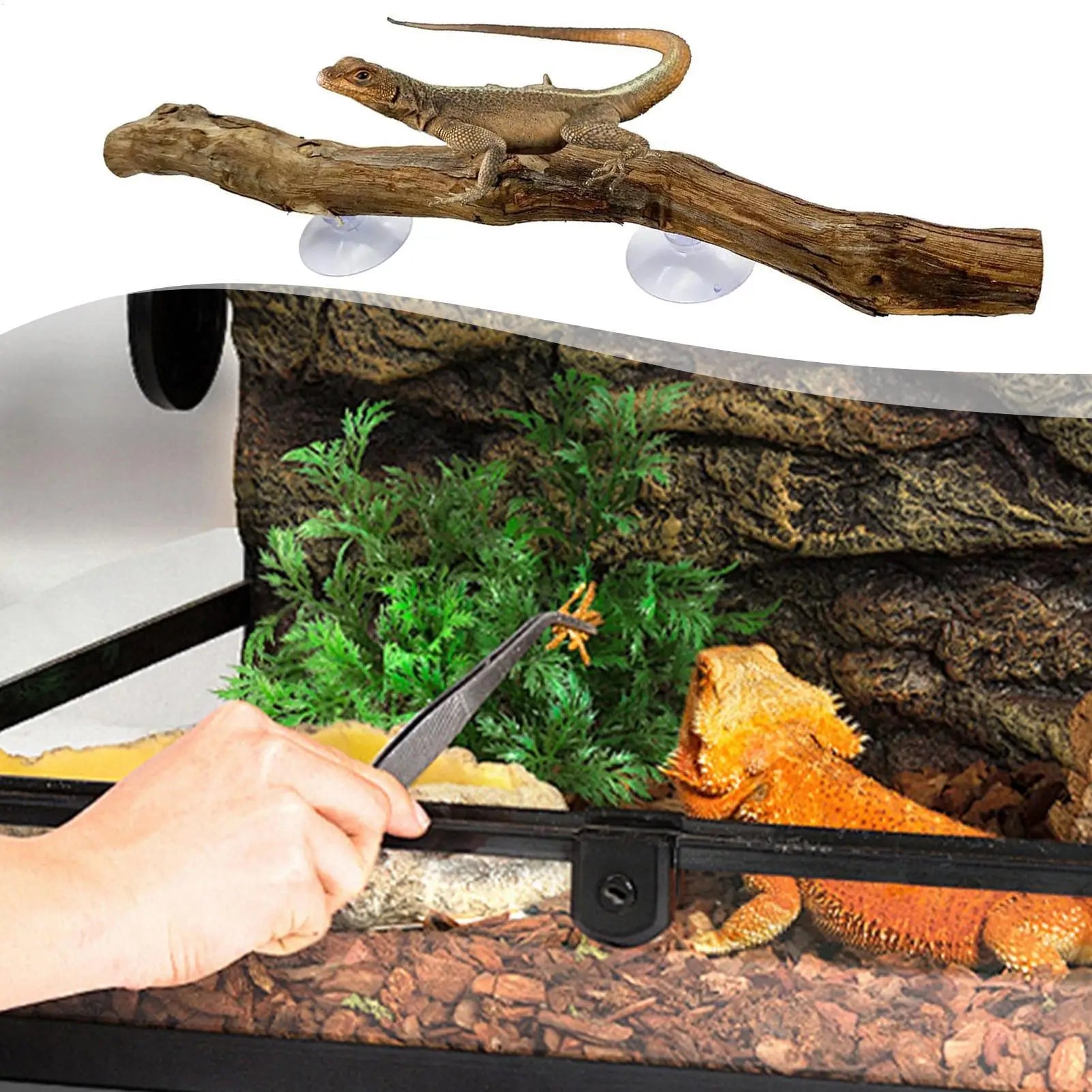 Reptile Climbing Corner Stick Non-slip Reptile Branches Terrarium Branches Reptile Decor Wooden Tree Trunk Ornament Habitat Deco