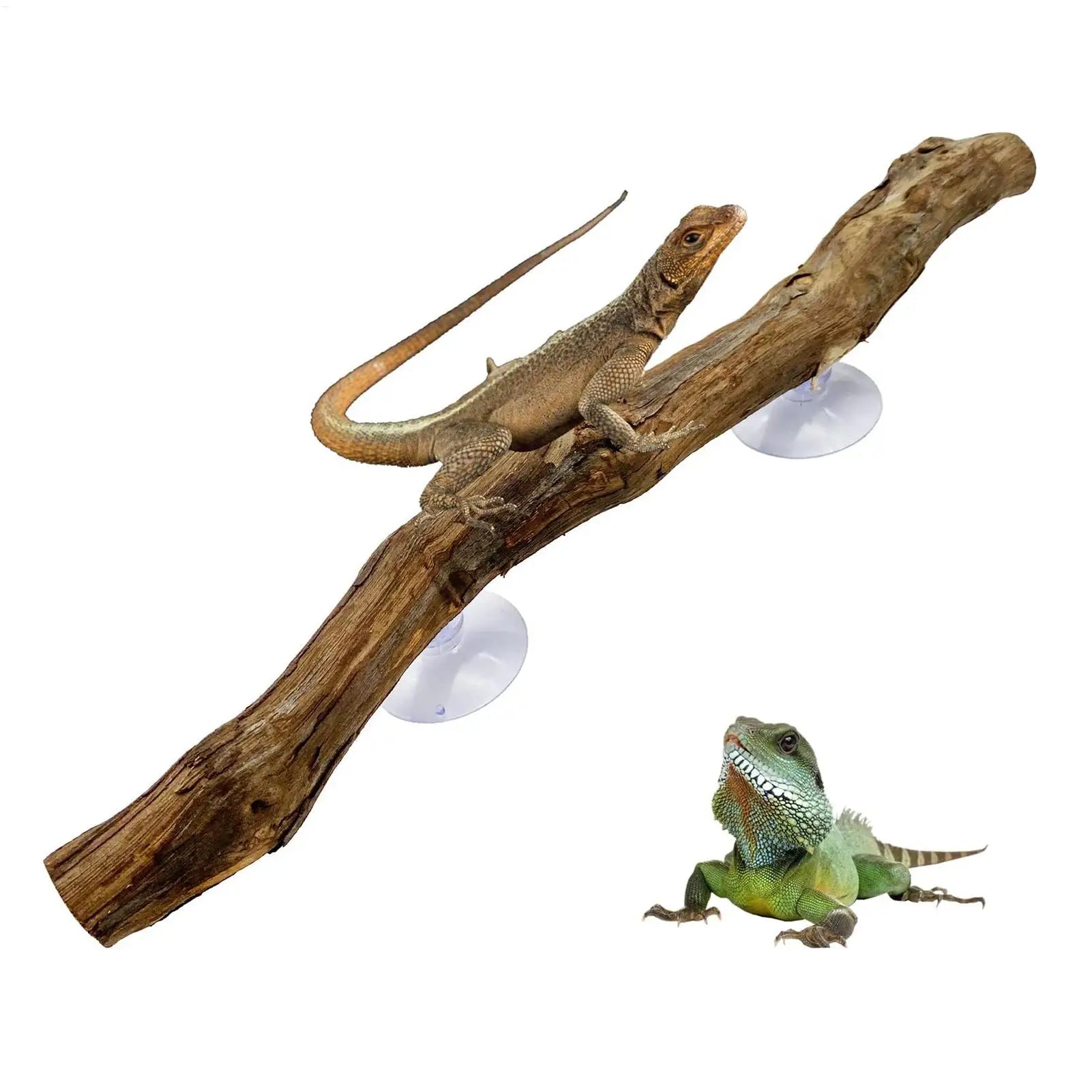 Reptile Climbing Corner Stick Non-slip Reptile Branches Terrarium Branches Reptile Decor Wooden Tree Trunk Ornament Habitat Deco
